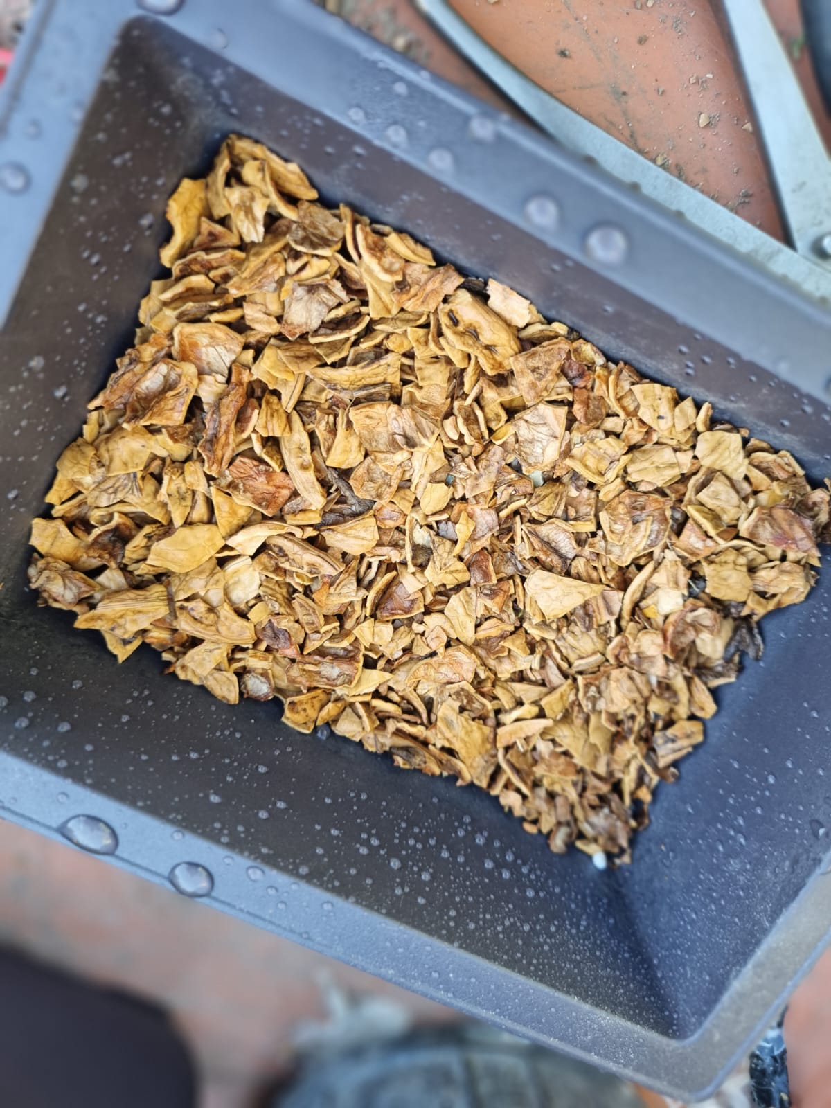 Cascara de nuez para drenaje