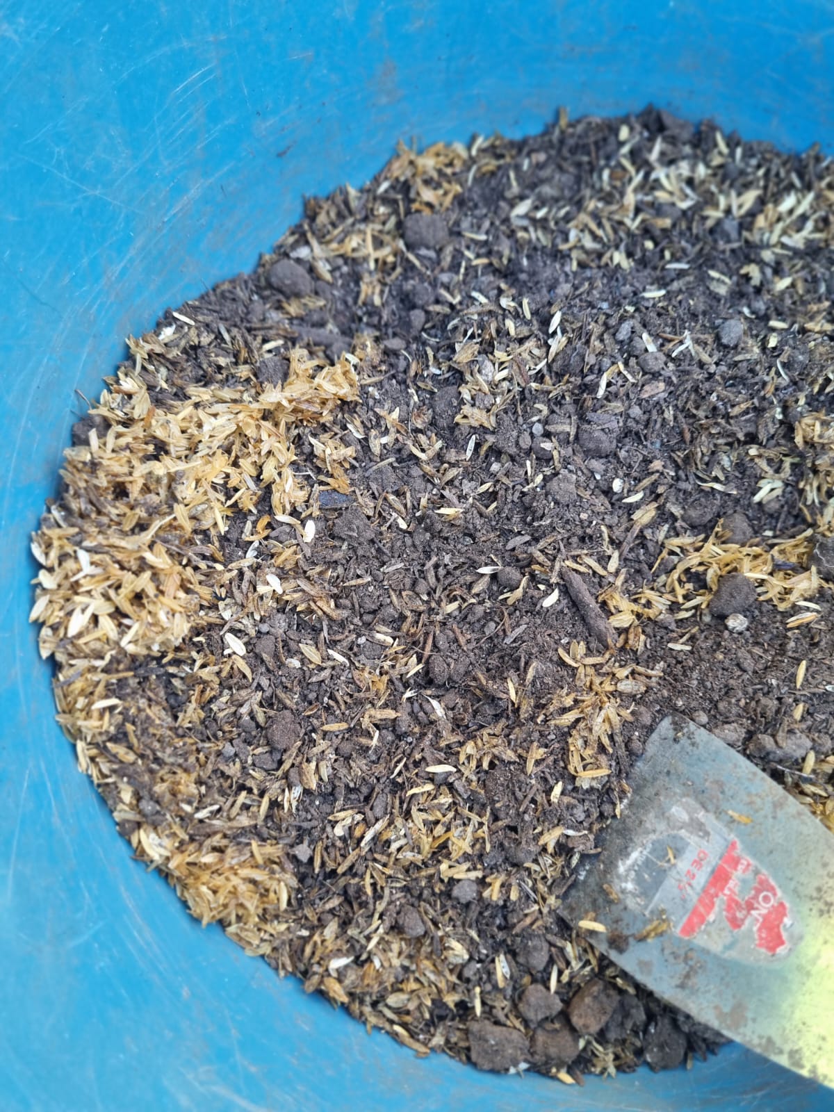 Sustrato preparado con humus y cascara de arroz