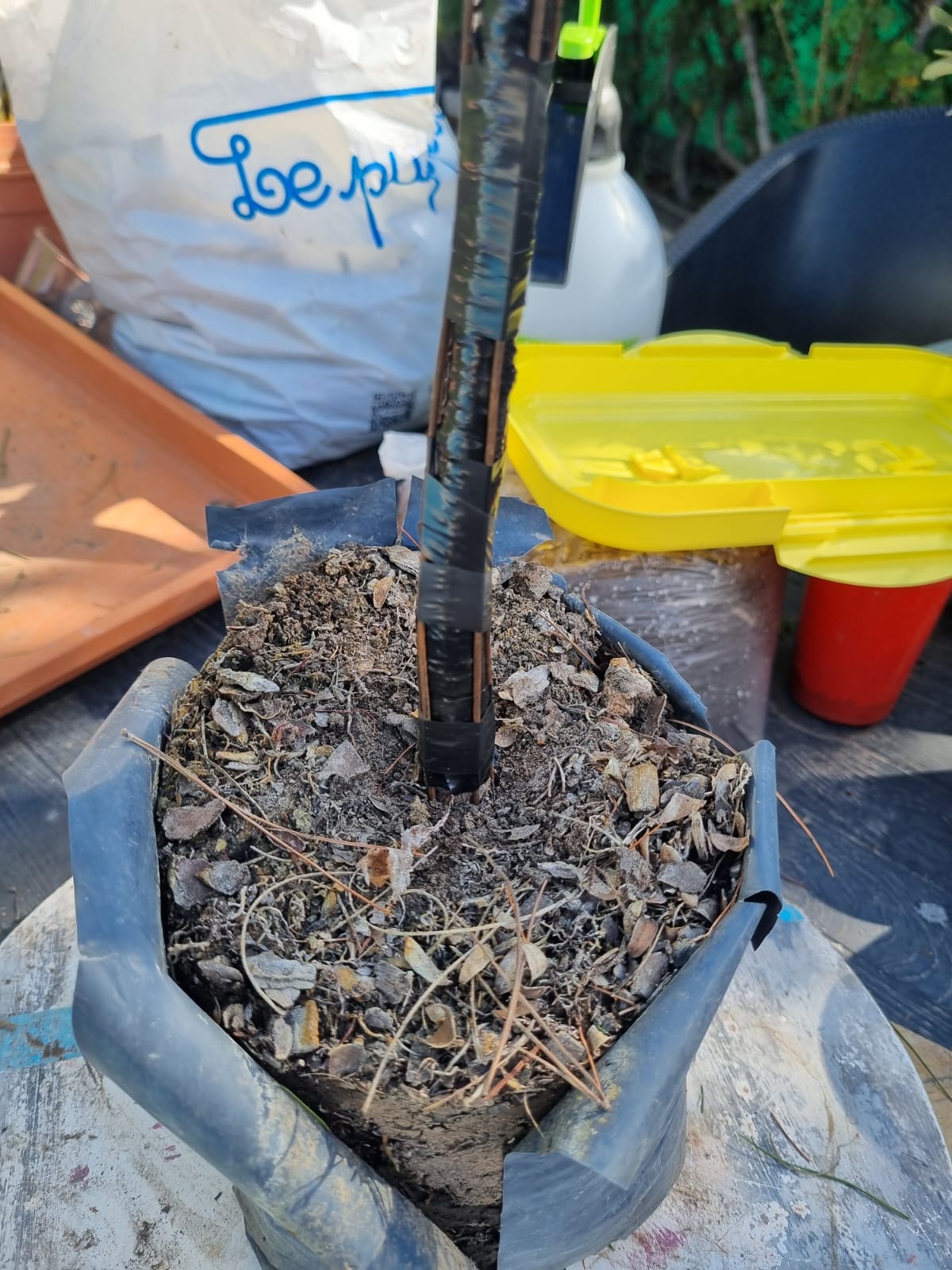 Tronco con tiras de alambre y cinta aisladora sujetando los alambres