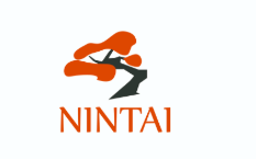 Logo de NINTAI