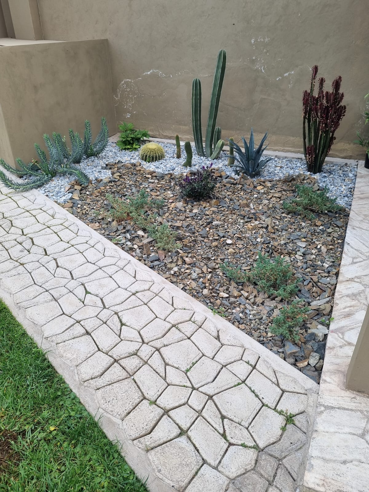 Del Lienzo al Desierto - imagen 3