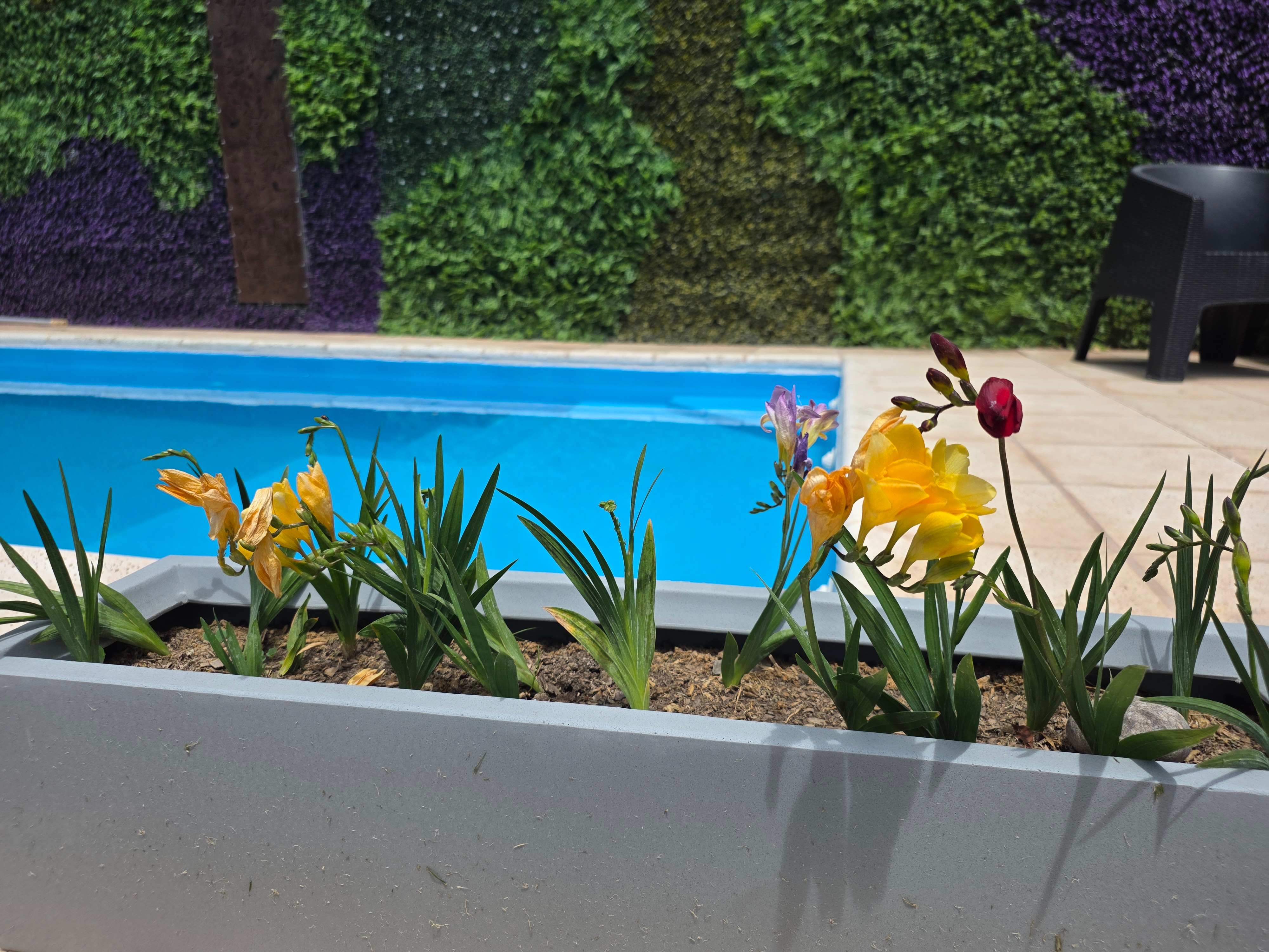 Oasis Familiar - imagen 3